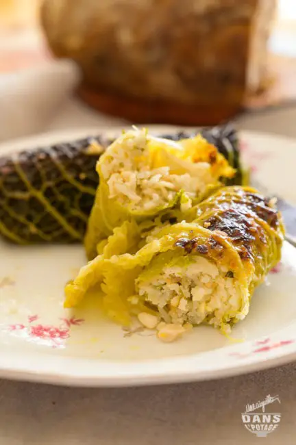 stuffed cabbage ottolenghi rice ricotta