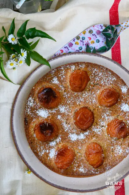 gâteau moelleux abricot sarrasin