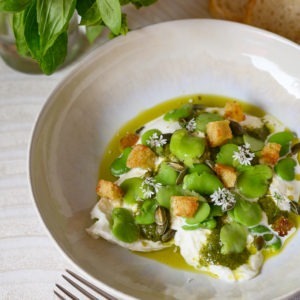 burrata pesto fèves graines courge