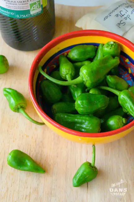 tapas pimientos de padron