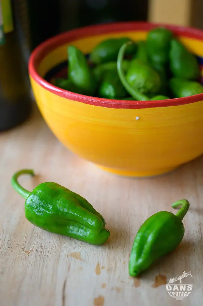 tapas pimientos de padron