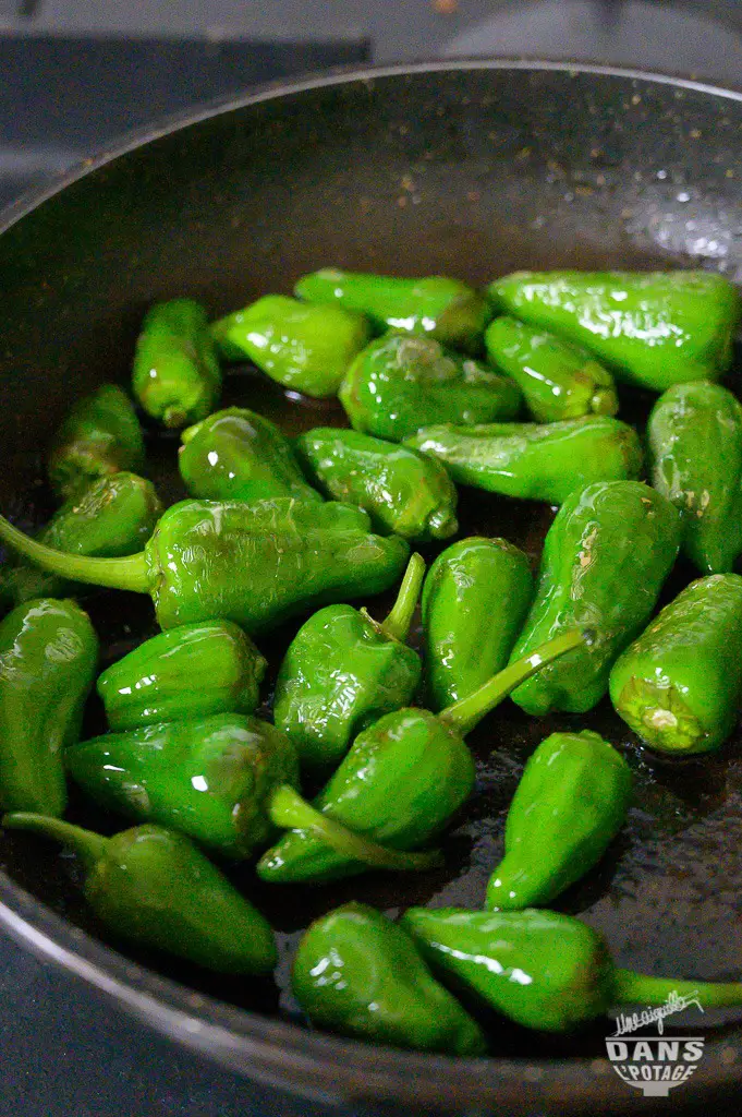 tapas pimientos de padron