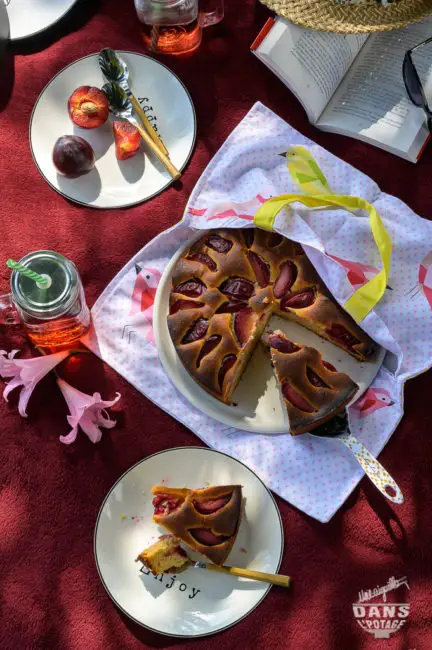 gâteau épicé aux prunes et au miel