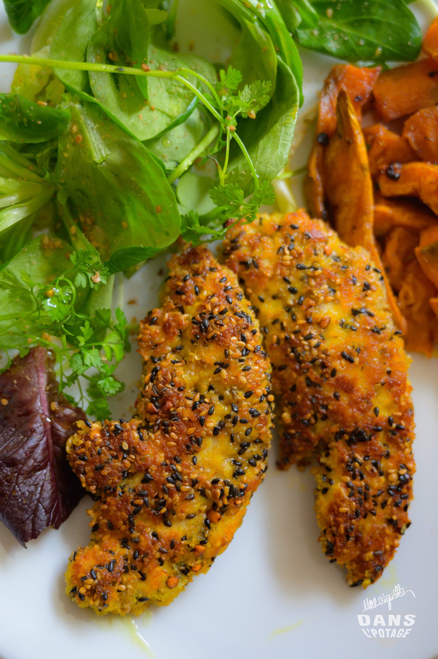 aiguillette de poulet aux graines d'Ottolenghi