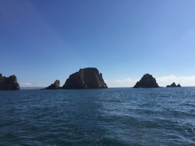 Les Tas de Pois Finistère