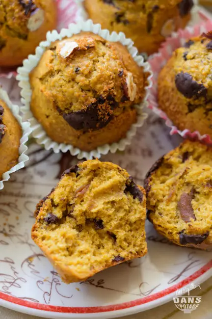 muffins épeautre noisette chocolat