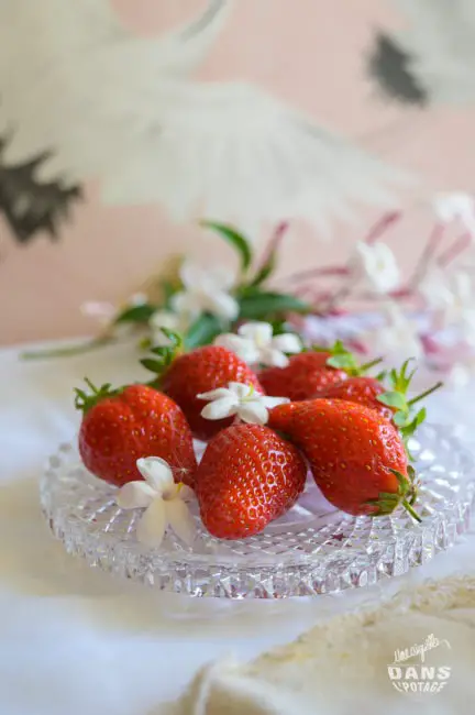 fraises de Plougastel