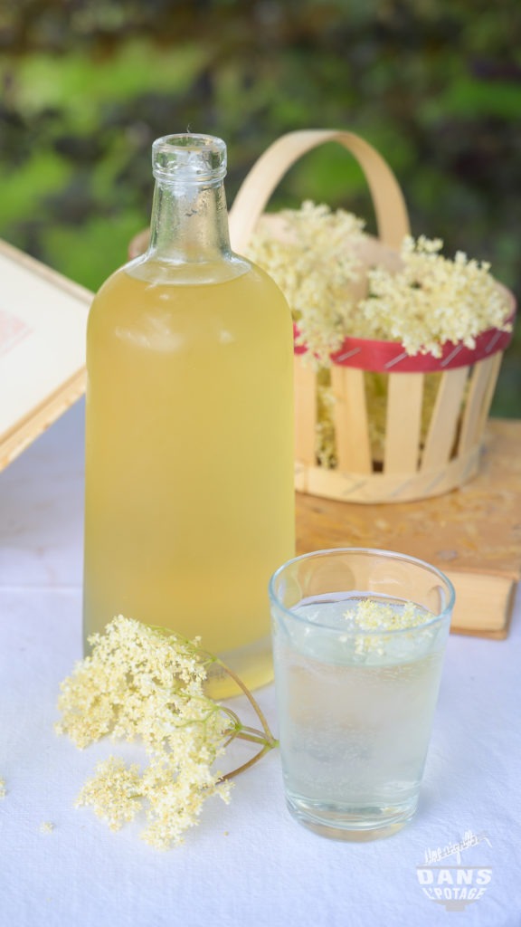 sirop de fleurs de sureau