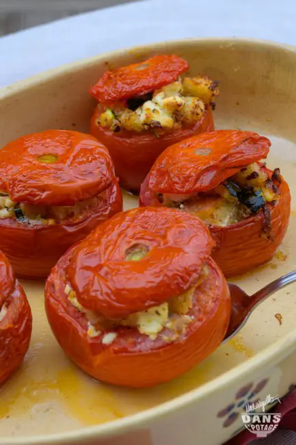 tomates farcies végétariennes feta courgette