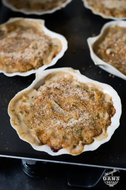 coquilles St Jacques 