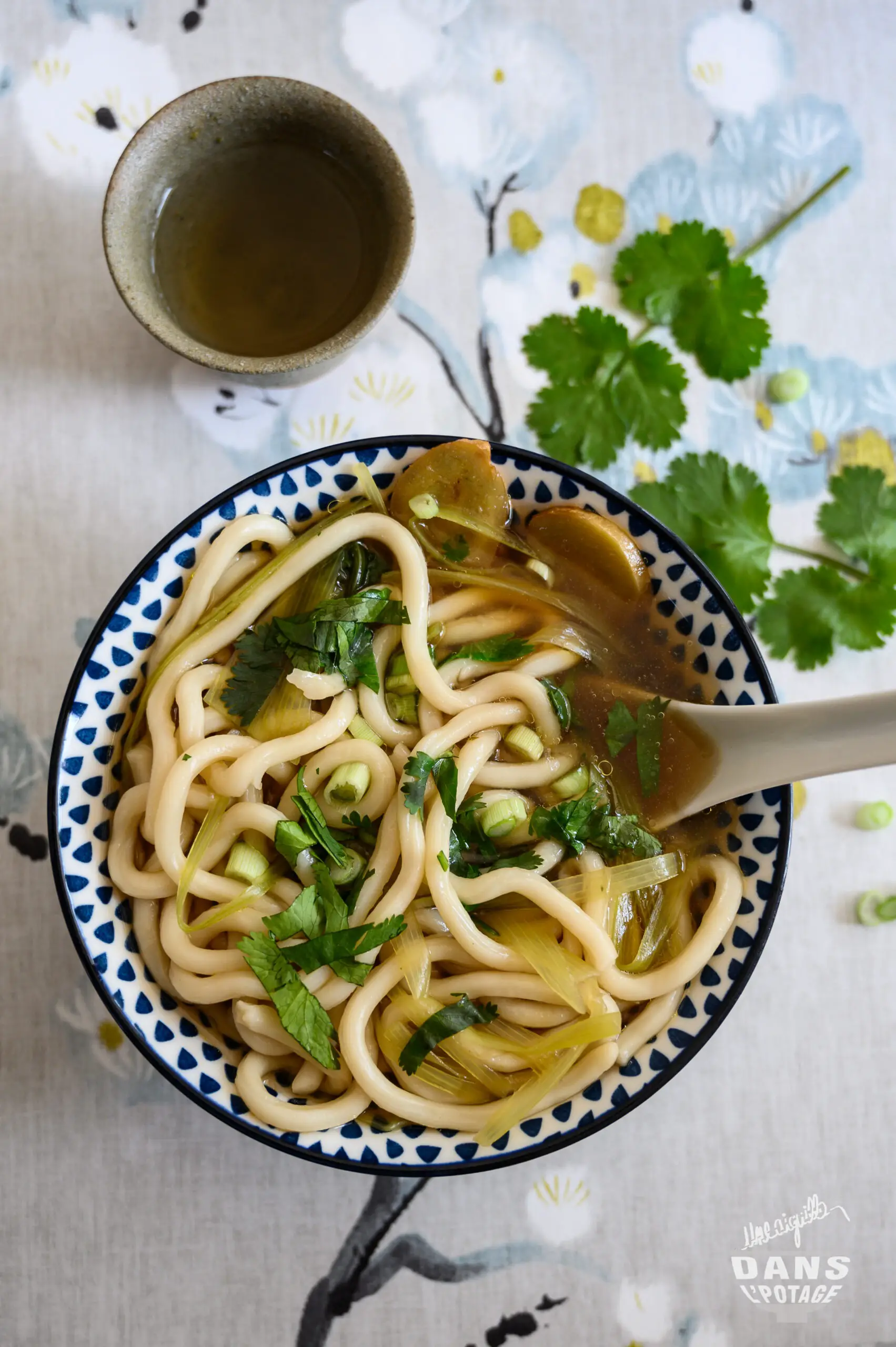 Soupe de nouilles udon végétarienne – Une aiguille dans l'potage
