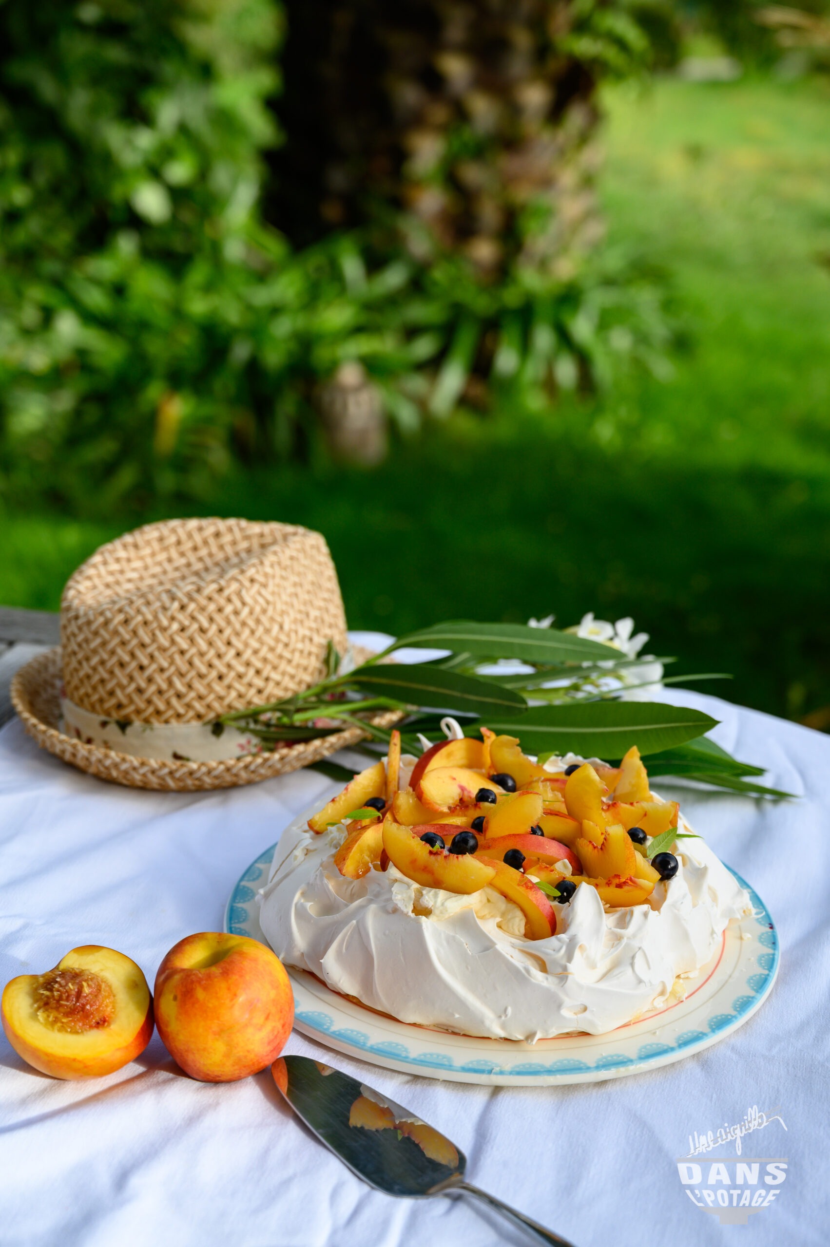 pavlova fleur oranger pêche