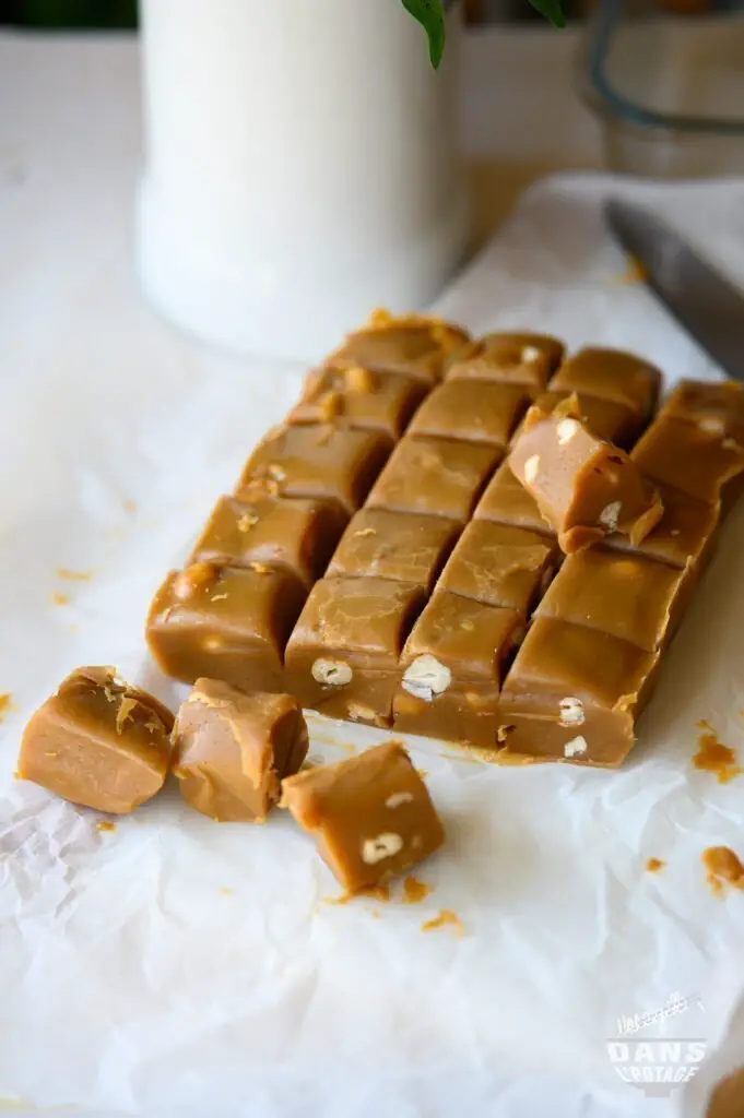 fudge caramel 