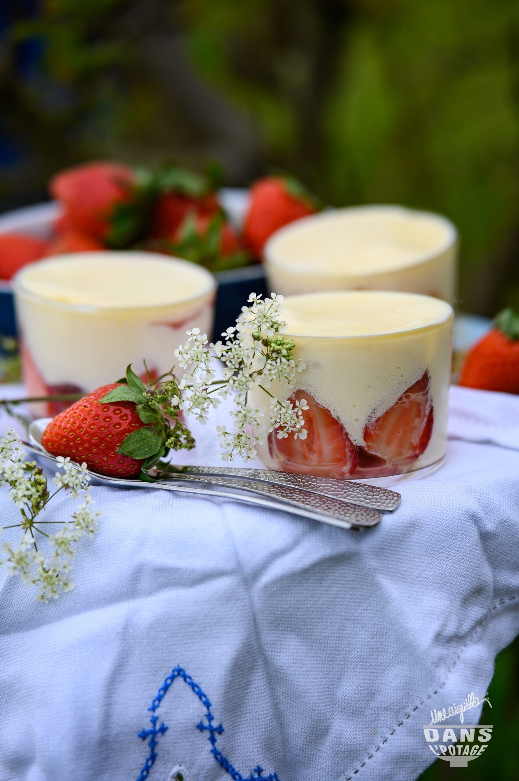 tiramisu aux fraises indivudiel