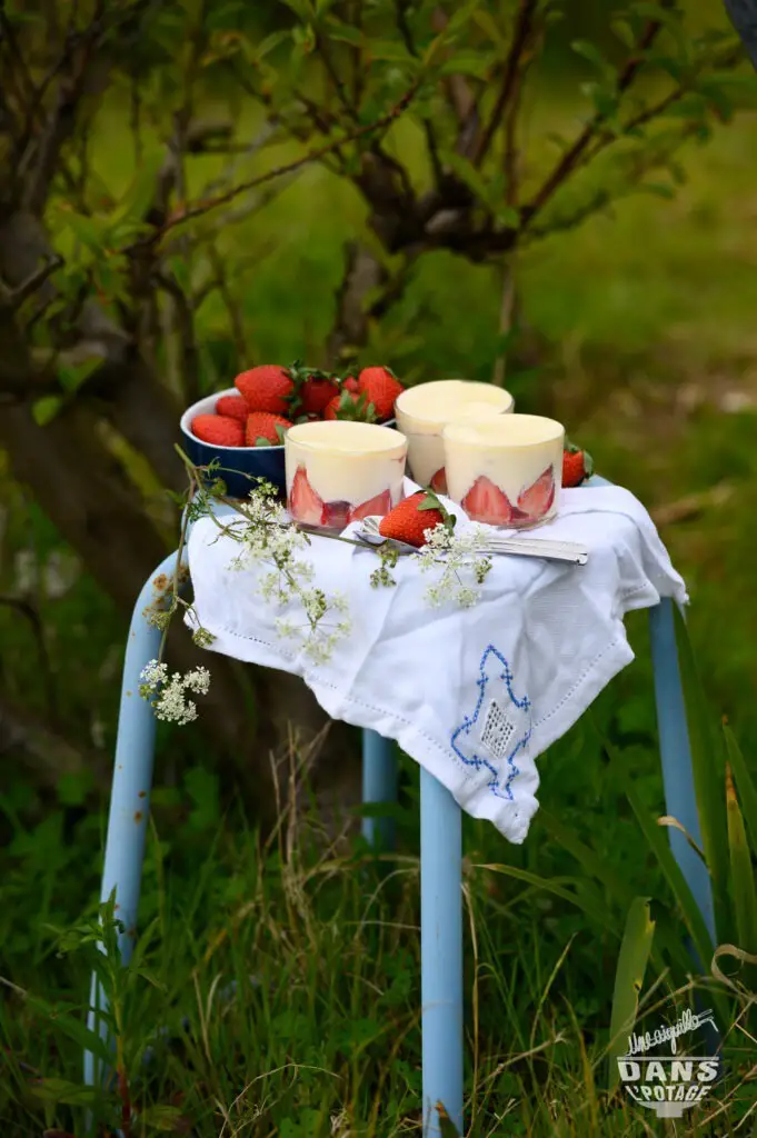 tiramisu aux fraises individuel