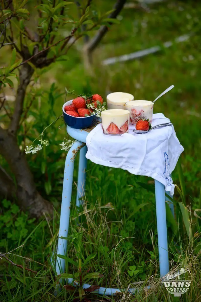 verrine tiramisu aux fraises