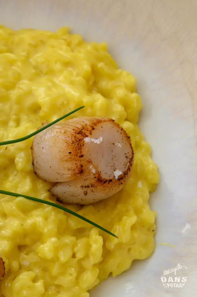 risotto safran et Saint-Jacques 