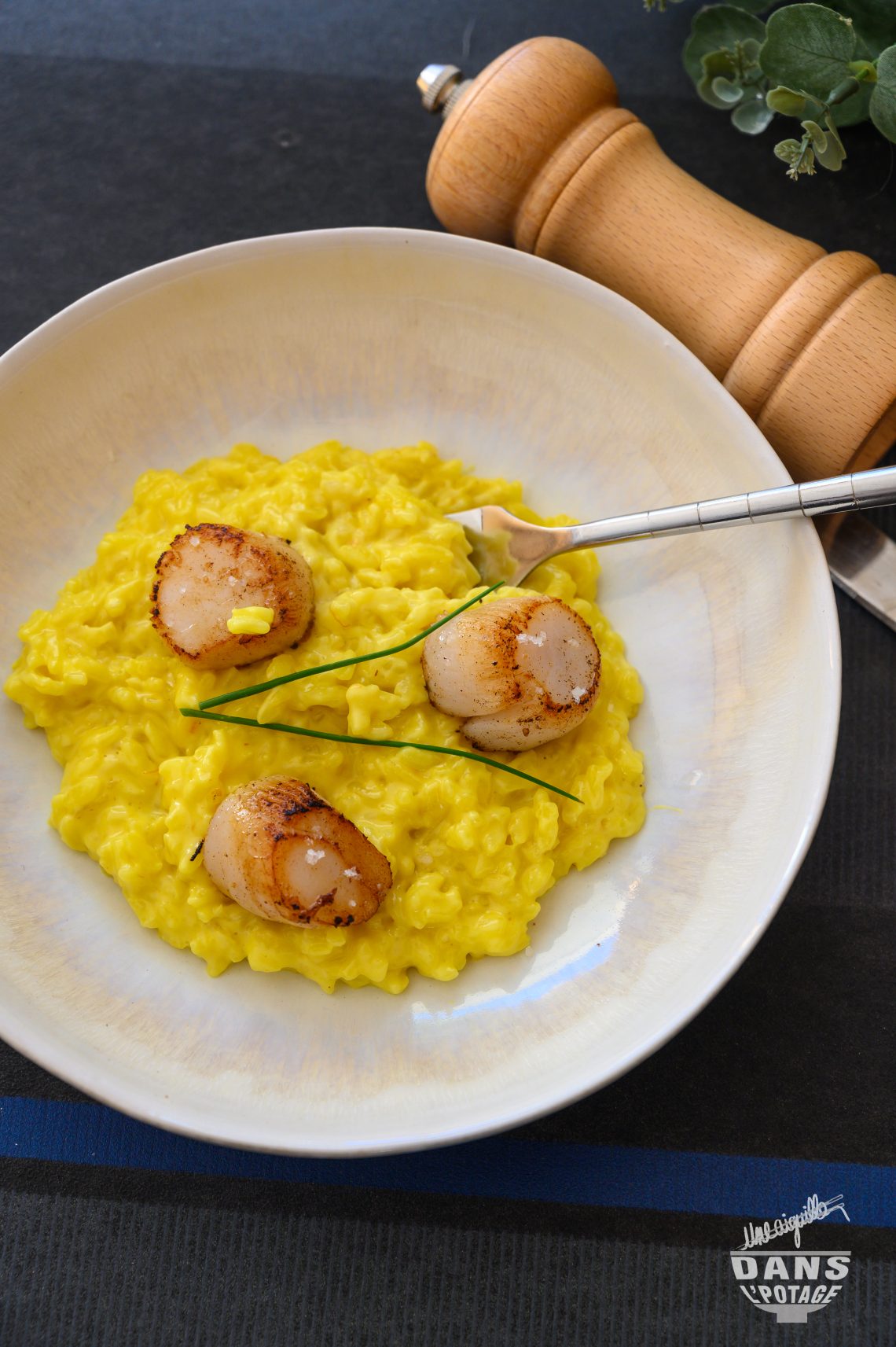 risotto au safran et noix de Saint-Jacques