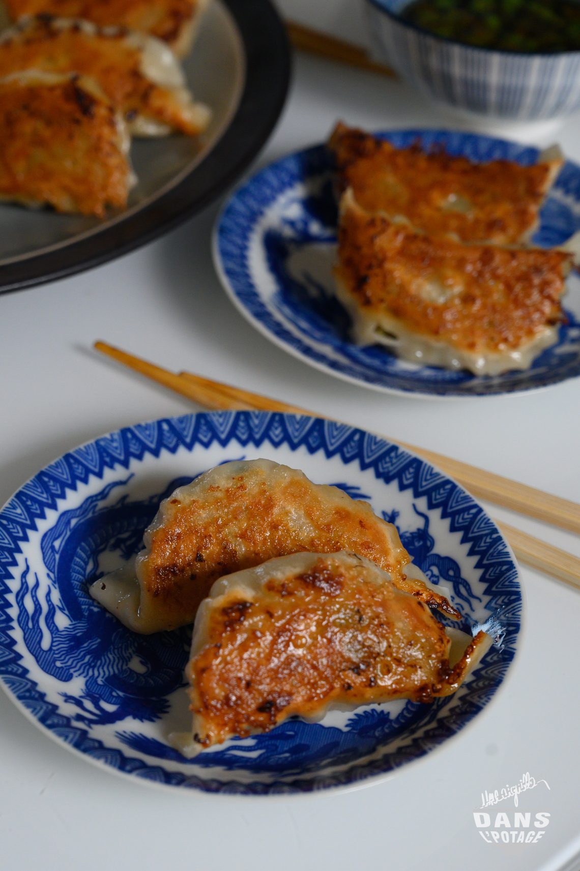 gyoza au poulet