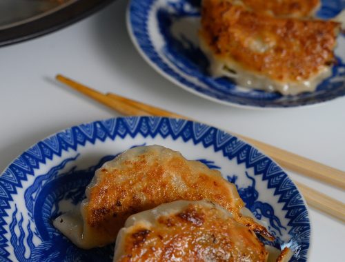 gyoza au poulet