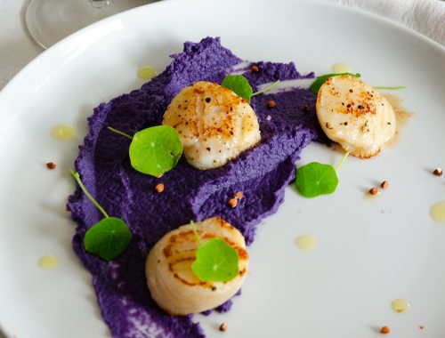 noix de Saint Jacques poêlées purée de chou rouge
