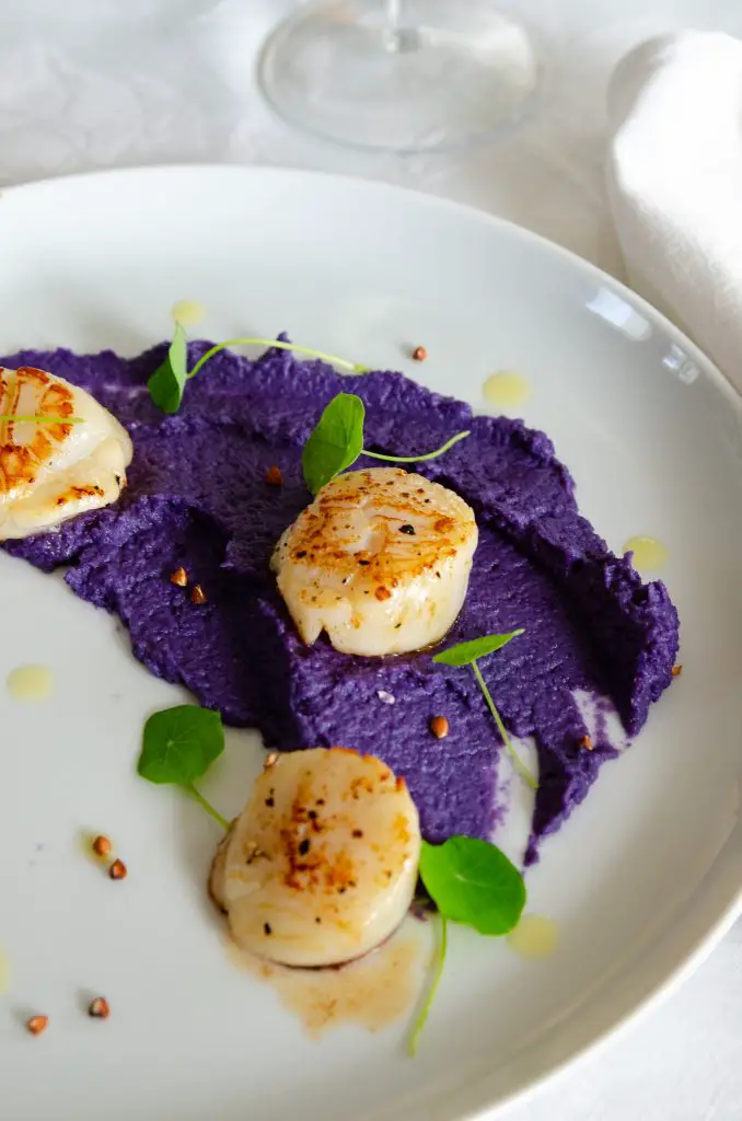  noix de saint-Jacques purée de chou rouge 