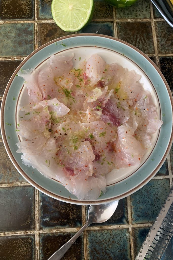 carpaccio bar